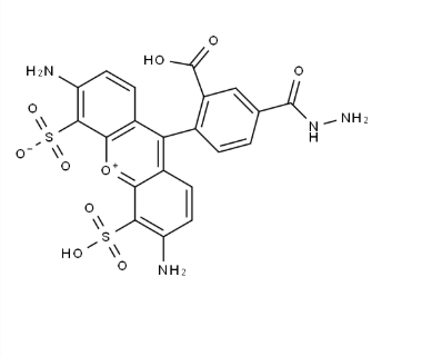 AF488 hydrazide AF488 hydrazide