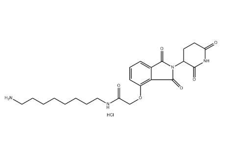Thalidomide Amine