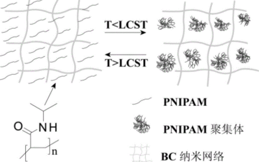 聚酰胺超支化聚合物