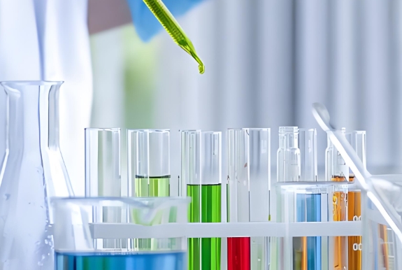 负载硼替佐米和芦丁的聚多巴胺纳米颗粒