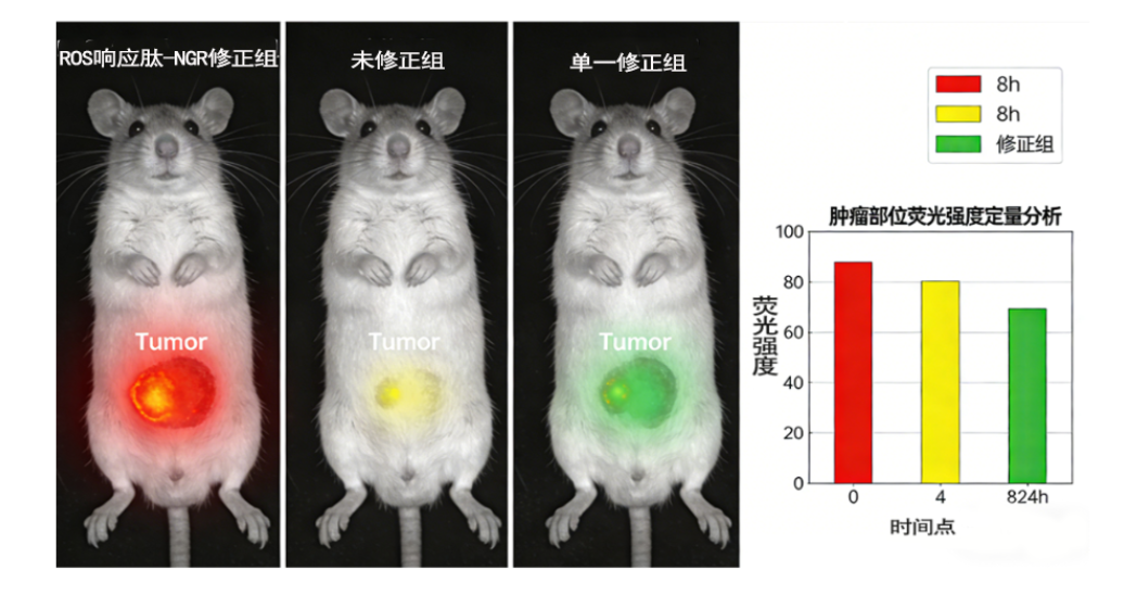 多肽修饰ROS响应脂质体载药