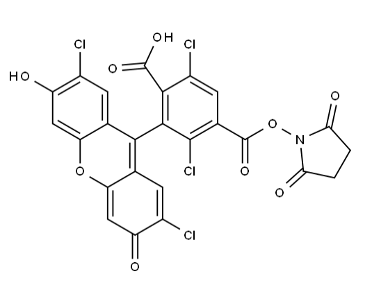 6‑TET, SE，CAS2129651‑80‑3一种基于四氯荧光素的氨基反应性荧光探针