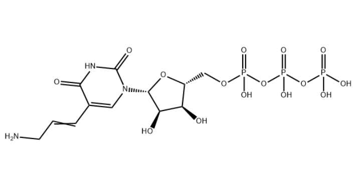 Aminoallyl-UTP