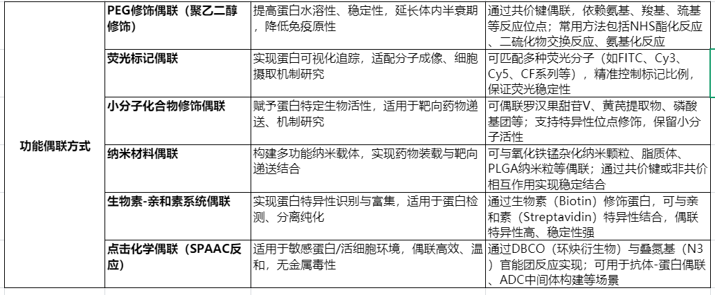 蛋白的功能偶联