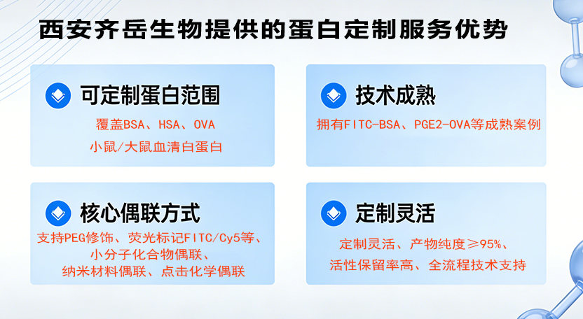 蛋白定制服务