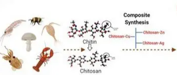 壳聚糖基温敏复合材料