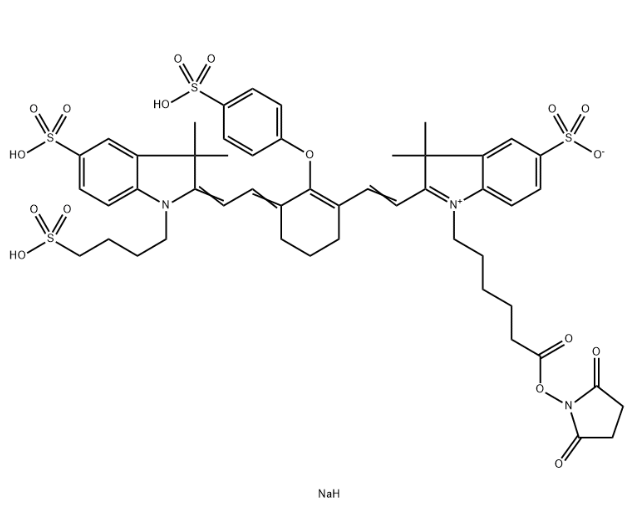 IRDye 800 NHS，956579-01-4