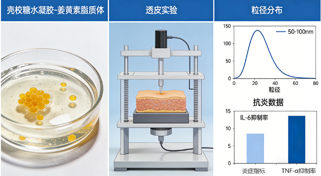 壳聚糖水凝胶包载姜黄素脂质体