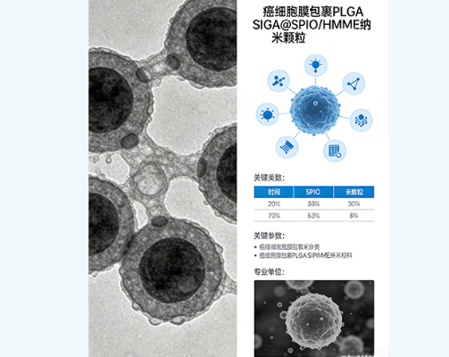 癌细胞膜包裹PLGA@SPIO/HMME载药磁性纳米颗粒定制