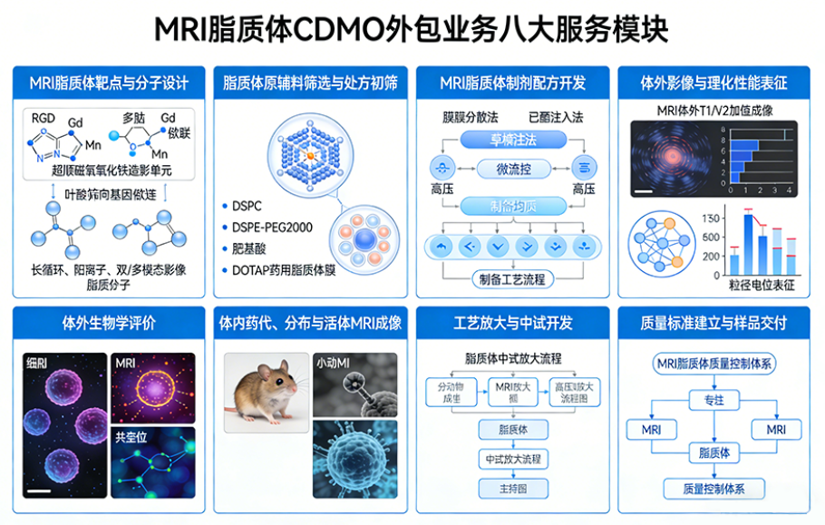 MRI脂质体CDMO研发外包