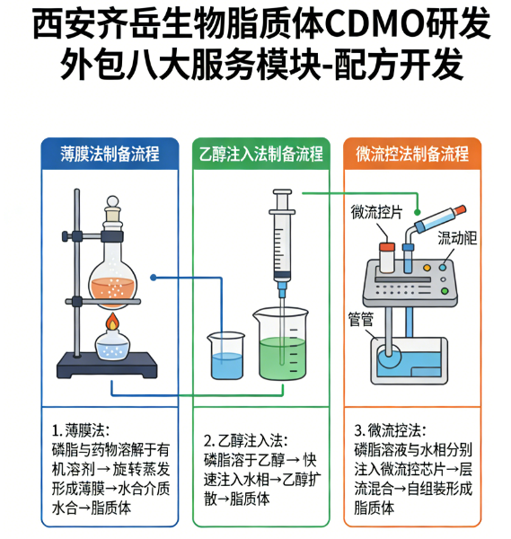 脂质体配方开发