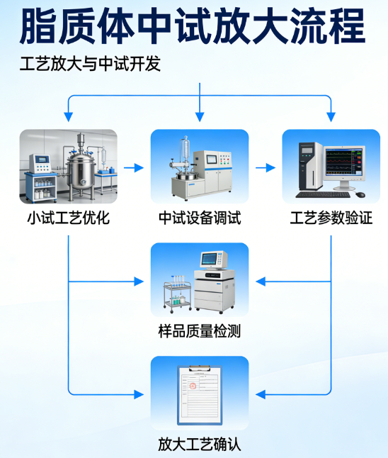 脂质体配方的工艺开发及中试放大