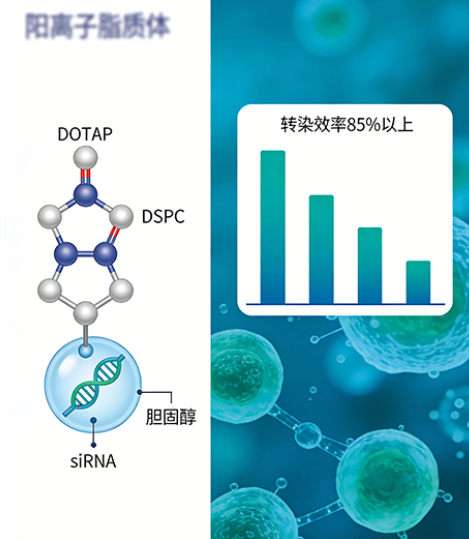 siRNA脂质体CDMO项目