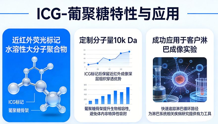 ICG-葡聚糖