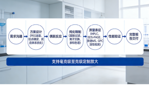 PEG修饰蛋白定制合成