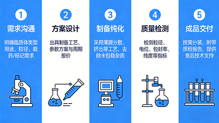 脂质体定制服务流程