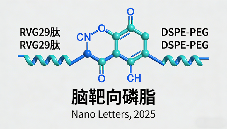RVG29肽修饰DSPE-PEG脑靶向磷脂