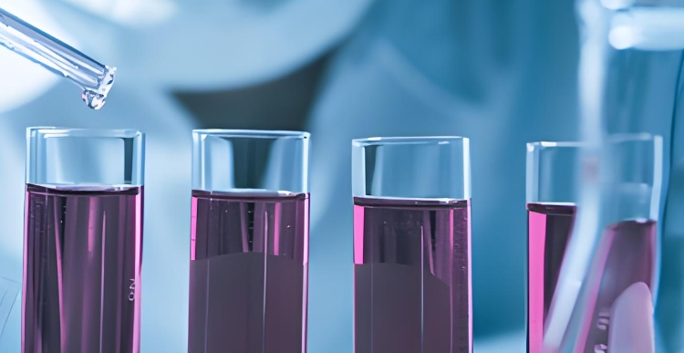 Biotin-DOX Biotin-DOX