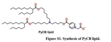 1774491631651982.png image.png