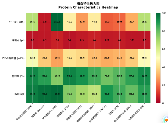 ZIF-8载蛋白 ZIF-8载蛋白