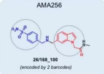 AMA256化合物定制 AMA256化合物定制