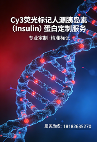 Cy3人源胰岛素（Insulin）蛋白