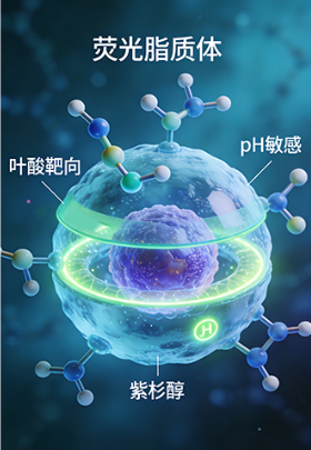 叶酸靶向pH敏感紫杉醇荧光脂质体