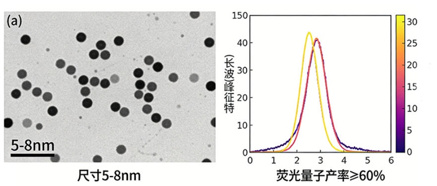 氮掺杂碳量子点定制