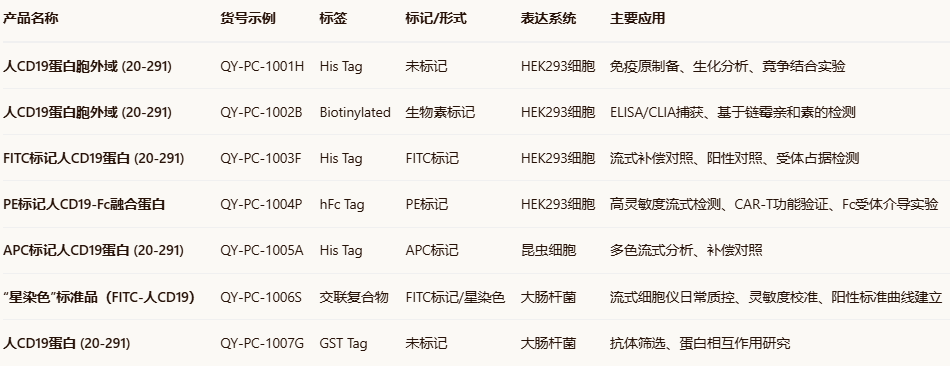 FITC-Labeled Human CD19 (20-291) Protein, His Tag Star Staining