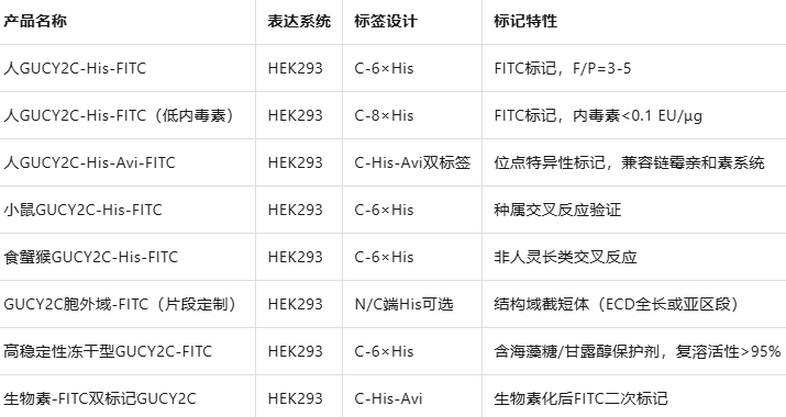  Human GUCY2C/Guanylyl cyclase C Protein, His Tag Star Staining