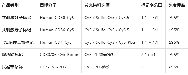 Human CD80/86/4-Cy5