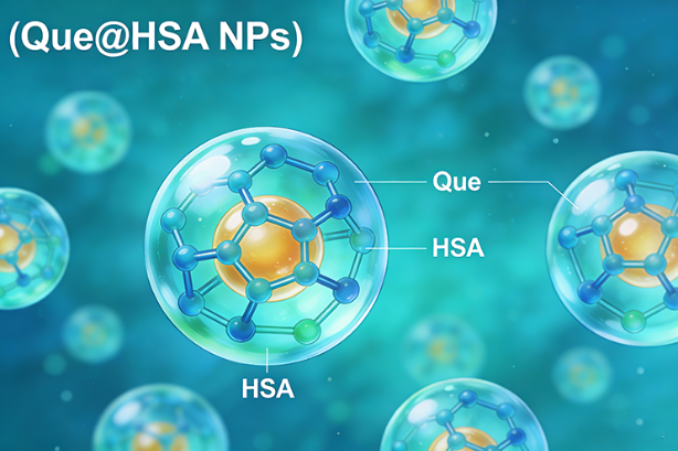 负载槲皮素的人血清白蛋白纳米粒