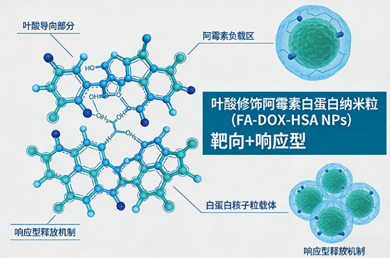叶酸修饰阿霉素白蛋白纳米粒