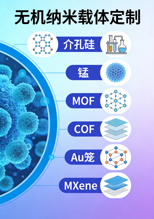 无机纳米载体定制