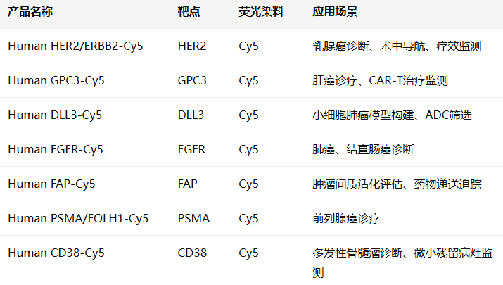 Human HER2/ERBB2/GPC3/DLL3-Cy5