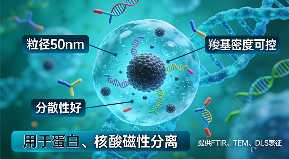50nm羧基化Fe₃O₄定制（生物分离场景）