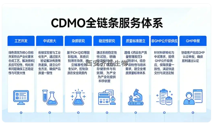Dlin-MC3-DMA的工艺开发