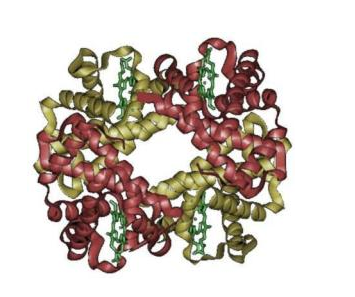 CY3标记转铁蛋白 Transferrin-Cy3 Conjugate Cy3标记人转铁蛋白的应用以及相关产品