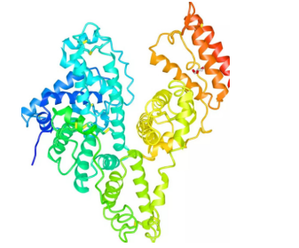 提供30多种蛋白的功能化修饰（、基团改性以及聚合物或者共聚物偶连技术）
