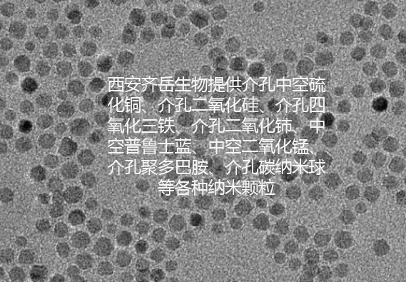 pH敏感性阿霉素聚合物前药 PAMAM-PEG-C12-hyd-DOX