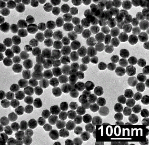5-FU-CS-mPEG：5-氟尿嘧啶-壳聚糖-聚乙二醇单甲醚大分子前药定制合成