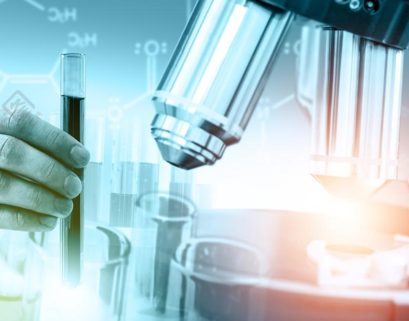 Phalloidin-PEG-DBCO，鬼笔环肽-PEG-二环丁炔的定制合成