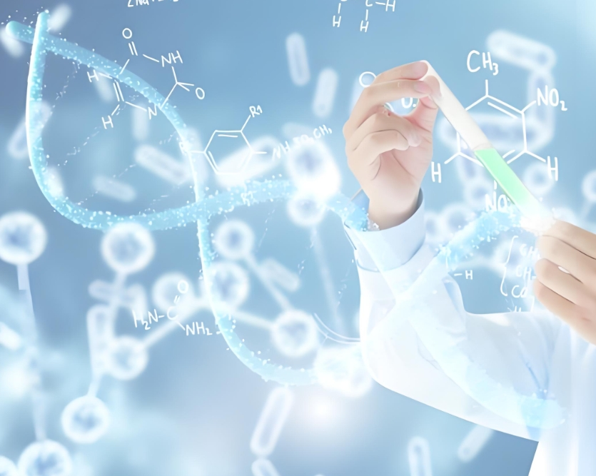 6-MP-ss-HA：谷胱甘肽敏感的巯嘌呤-透明质酸高分子前药定制合成服务