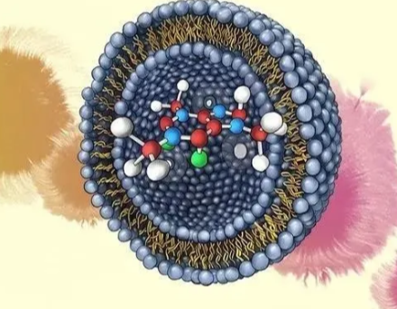 脂质体定制合成服务（西安齐岳生物提供）