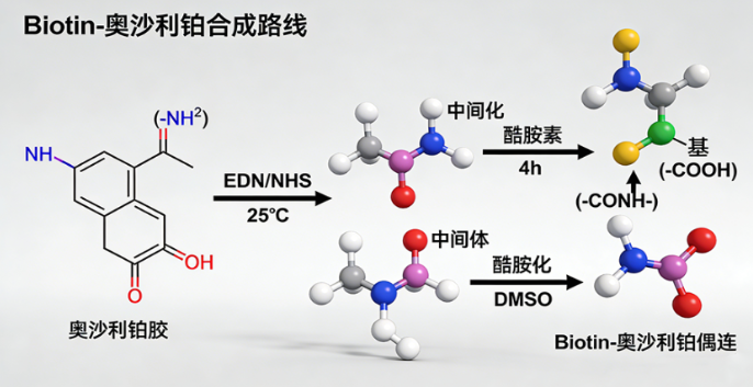 药物修饰和改性定制合成技术服务-西安齐岳生物