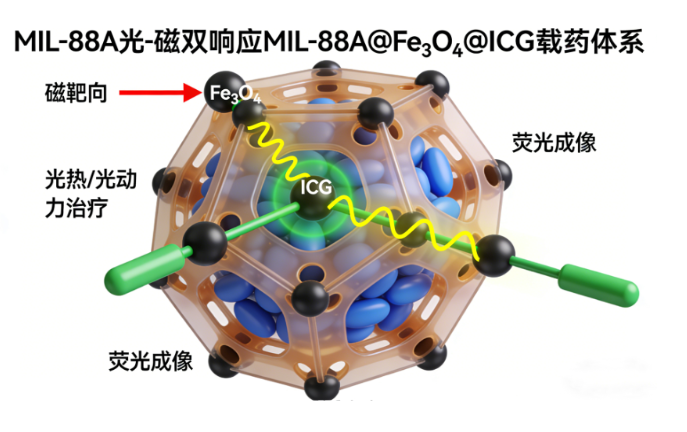 多刺激响应型MOF纳米载体载药定制合成技术服务（西安齐岳生物提供）