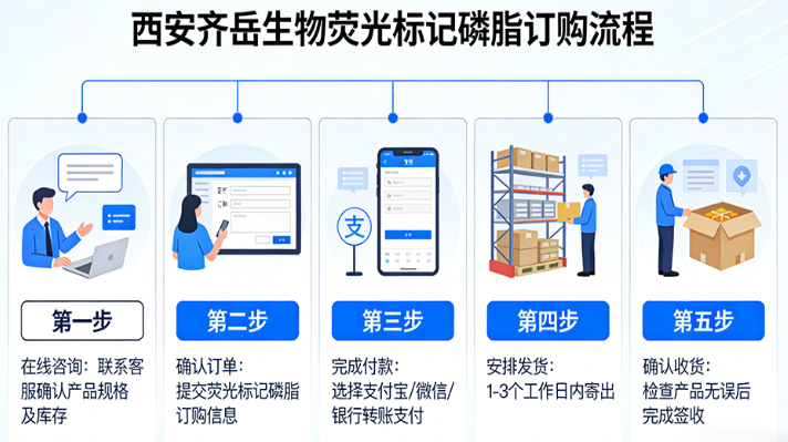 磷脂定制：FITC/CY3/CY5/CY7/ICG多种多种磷脂