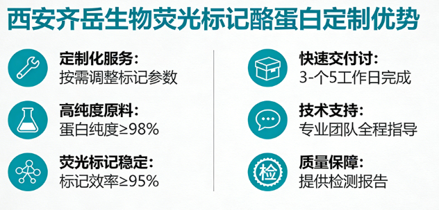 酪蛋白定制合成服务-西安齐岳生物