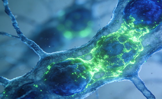 20种天然氨基的精准化修饰改性定制---西安齐岳生物提供