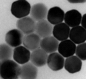 脂质体定制（脂质体表面修饰，多类型负载适配）